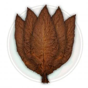 Red Rose Grabba photo 1
