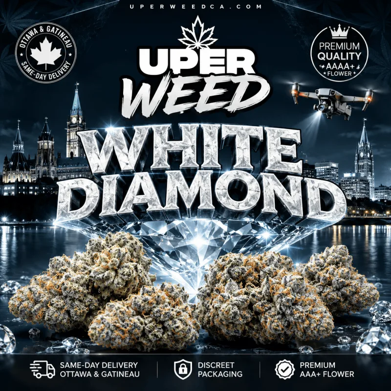 White Diamond photo 1
