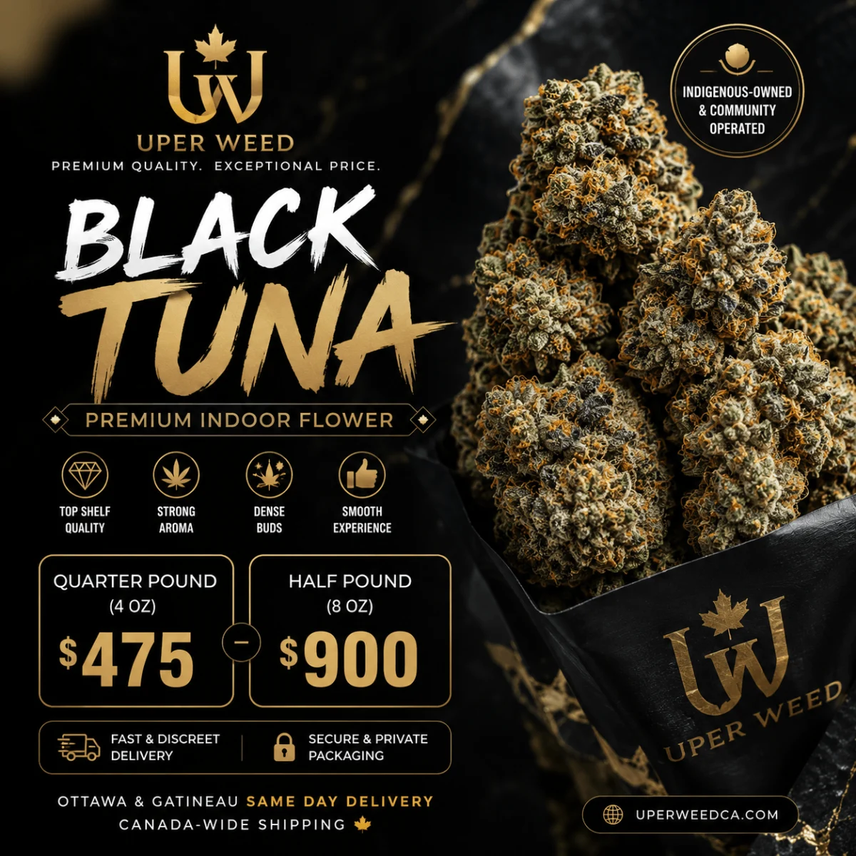 BC Black Tuna photo 1