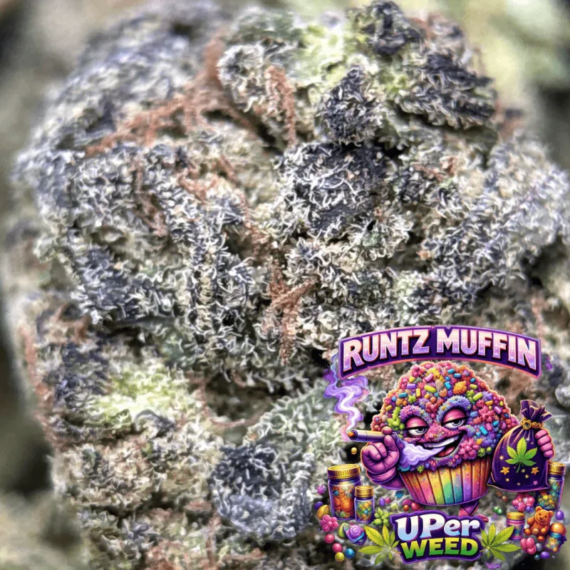 Runtz Muffin photo 1
